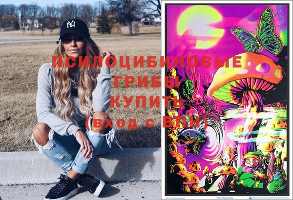 кокаин Каменногорск